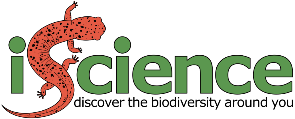 iScience: discover the biodiversity around you