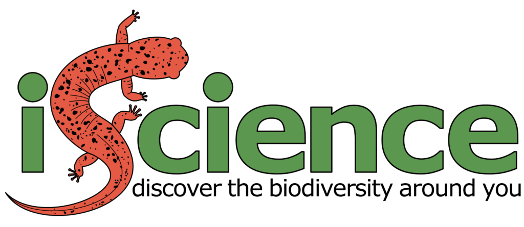 A logo reading 'iScience: discover the biodiversity around you' with the 'S' in Science stylized as a salamander